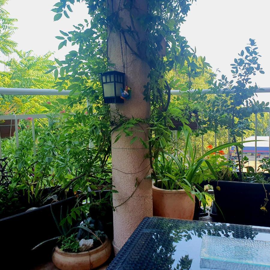 By The Sea Martina Apartment Rijeka Luaran gambar